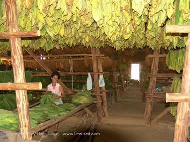 2004 Cuba, Havanna - Maria la Gorda, DSC00535 B_B720